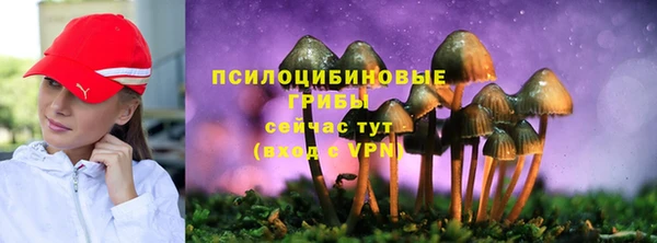 дмт Алзамай