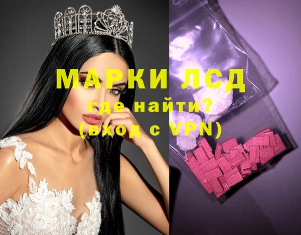 дмт Алзамай